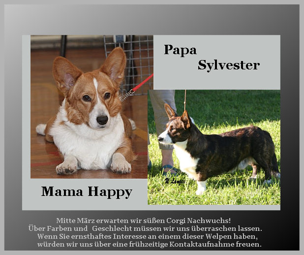 Welpen
